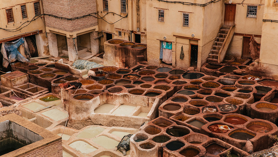 Private Fez Medina Walking Tour: Explore the Ancient Soul of Morocco 3 Chouara Tannery Fez Medina Morocco